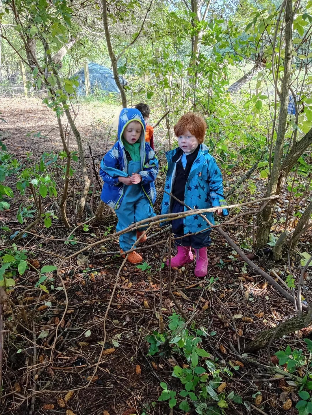 Open Evening @ Fordell Firs