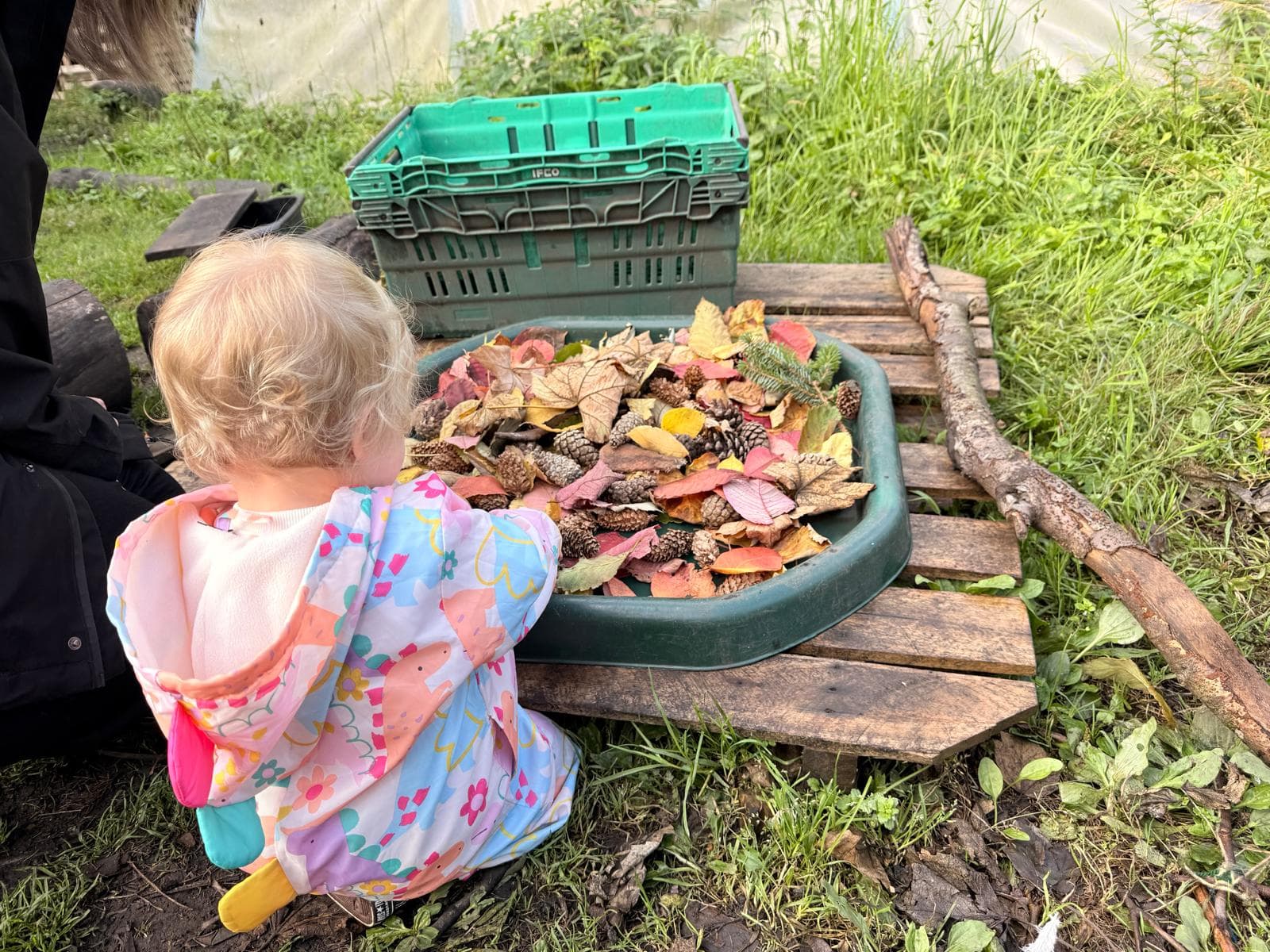 baby and toddler group